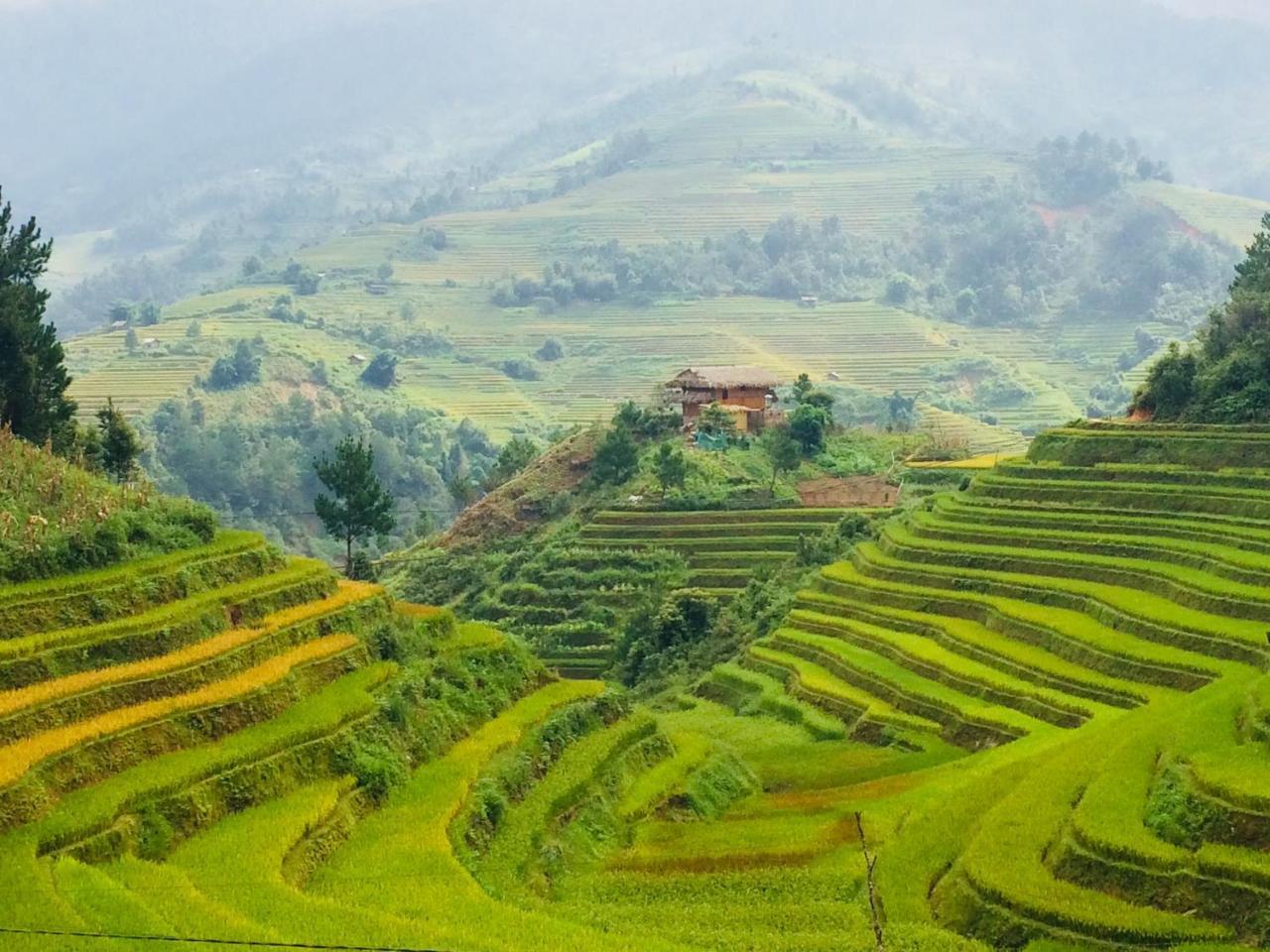 Hello Mu Cang Chai Homestay & Tours Exterior foto